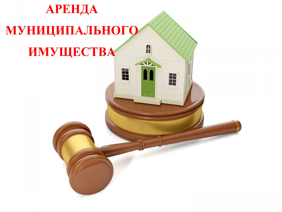Проведение торгов на право заключения договора аренды муниципального имущества 