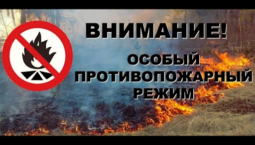 На территории Кировской области введен особый противопожарный режим
